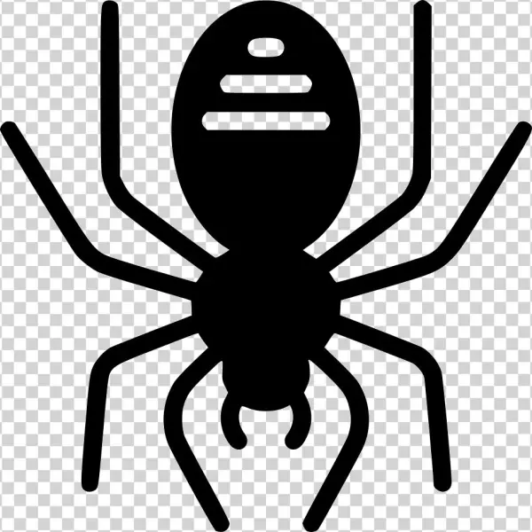 Png File - Spider
