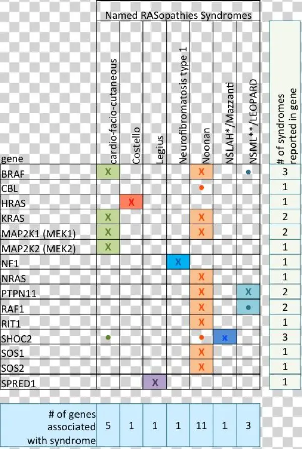 Rasgenes - Rasopathies Genes