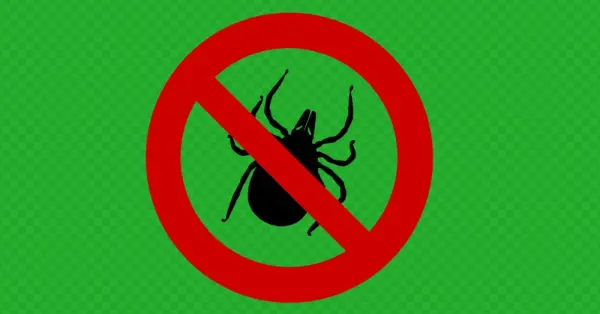 Zecken Clipart