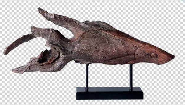 Bark Fish - Thescelosaurus