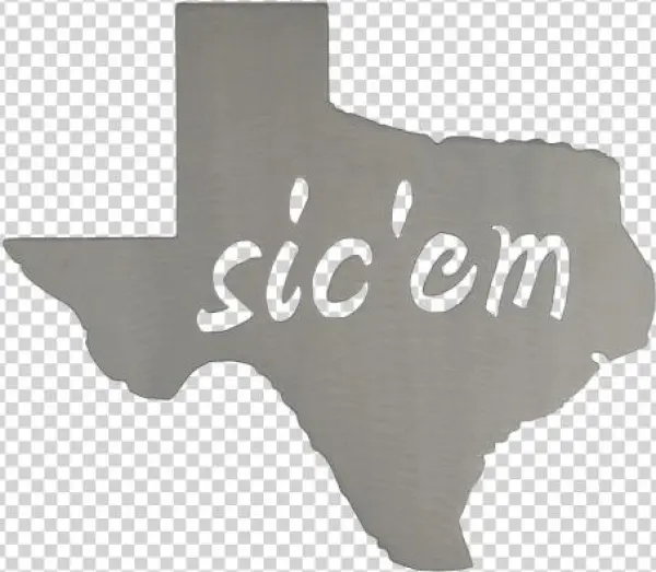 Baylor Wall Art - Sign