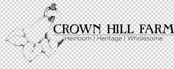 Drawn Crown Png
