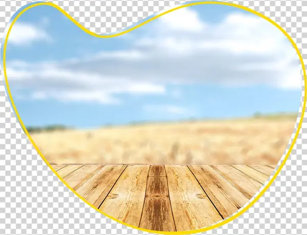 Nido®goldenstart®honey Banana - Lumber