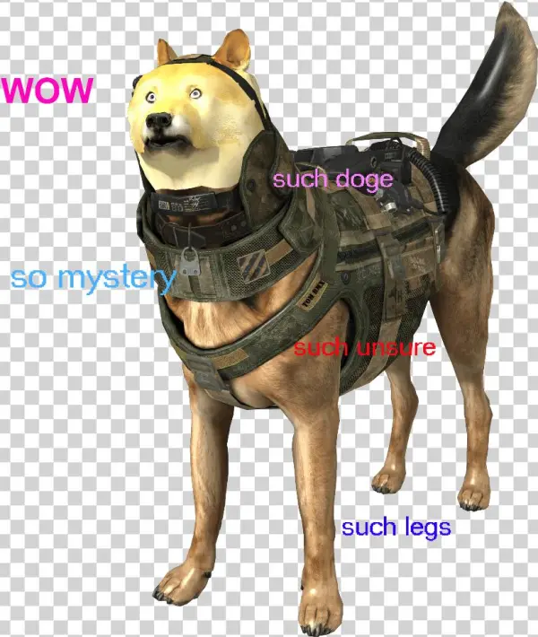 Some - Companion Dog