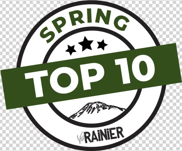 Spring Top - Gerobak
