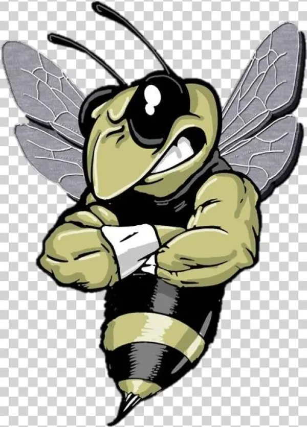 Weekly Buzz - Illustration