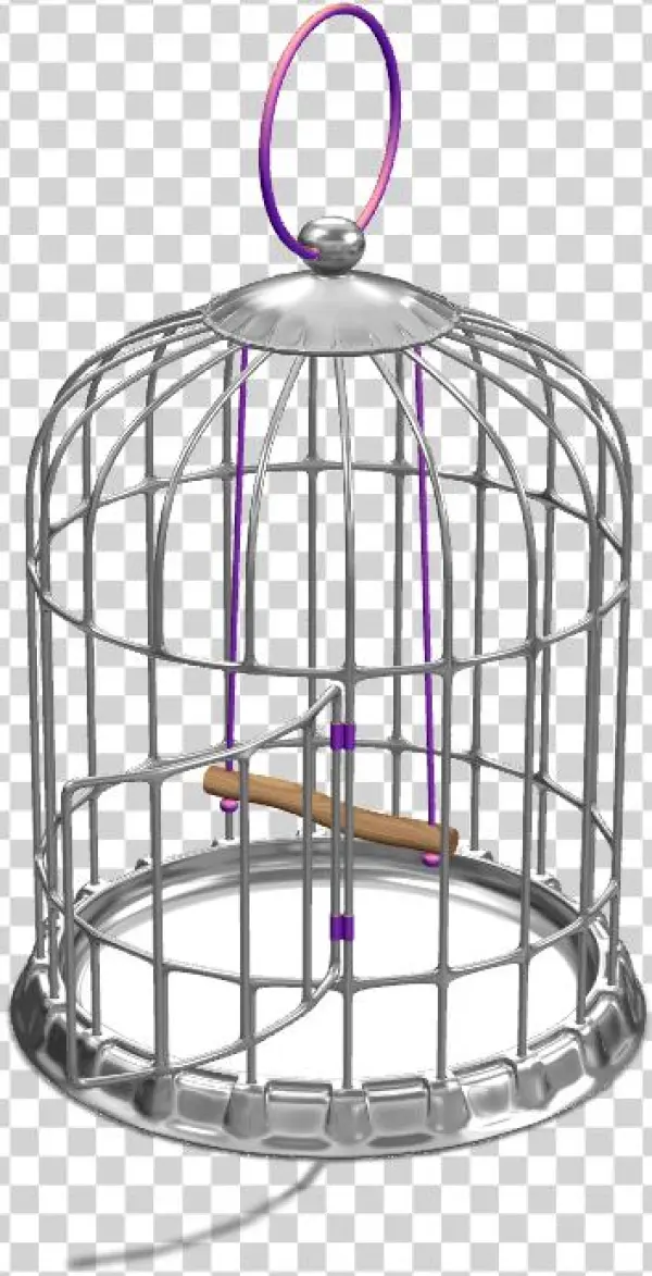 Bird Cage - Cage