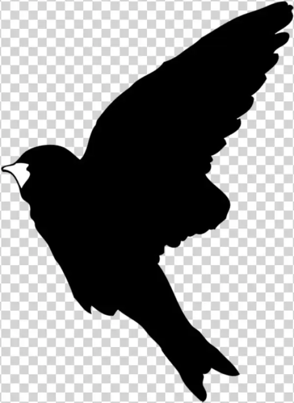 Rorschach - Vaux S Swift