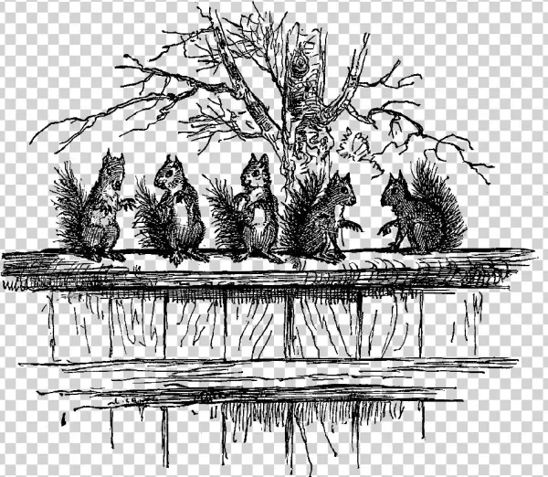 Squirrel Download - Illustration