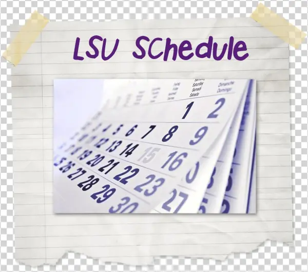 The Official Site Of Lsu Athletics - Paper