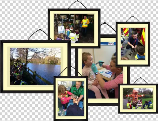 Community - Collage