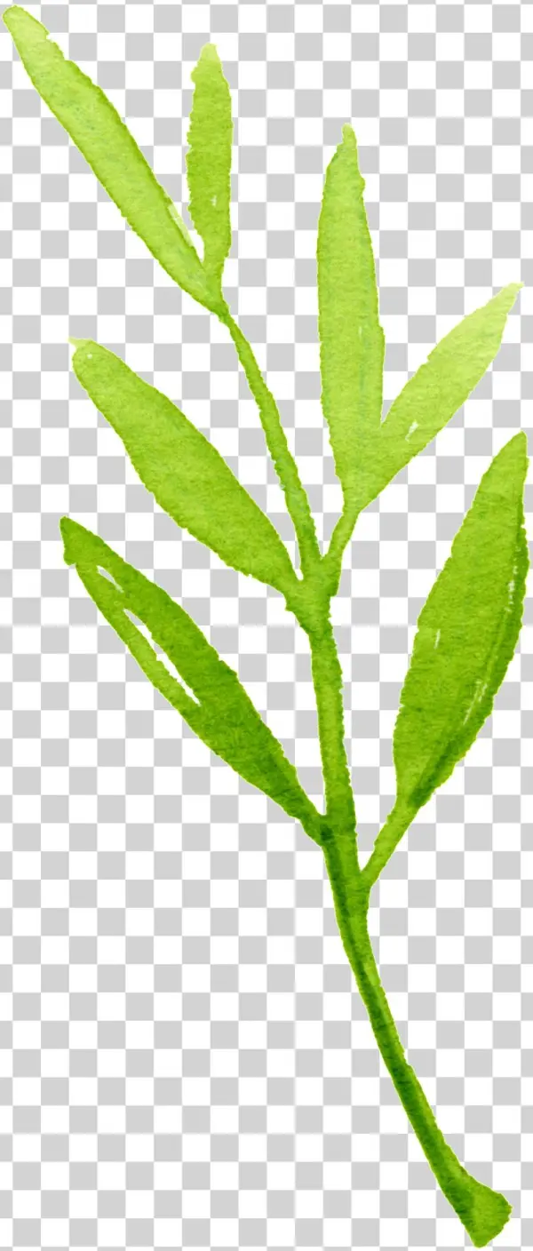 Crystal Foliage Cartoon Transparent - Twig