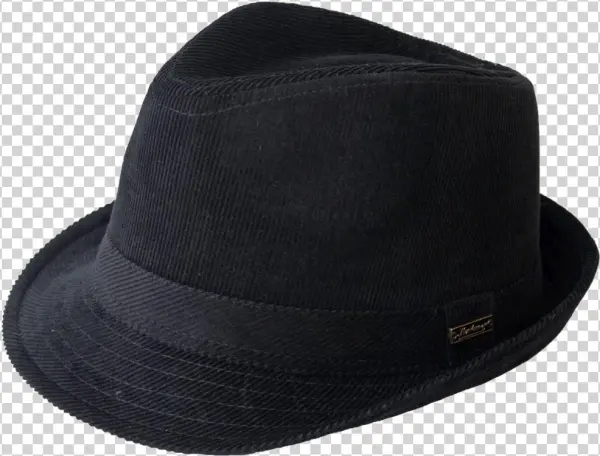 Fedora