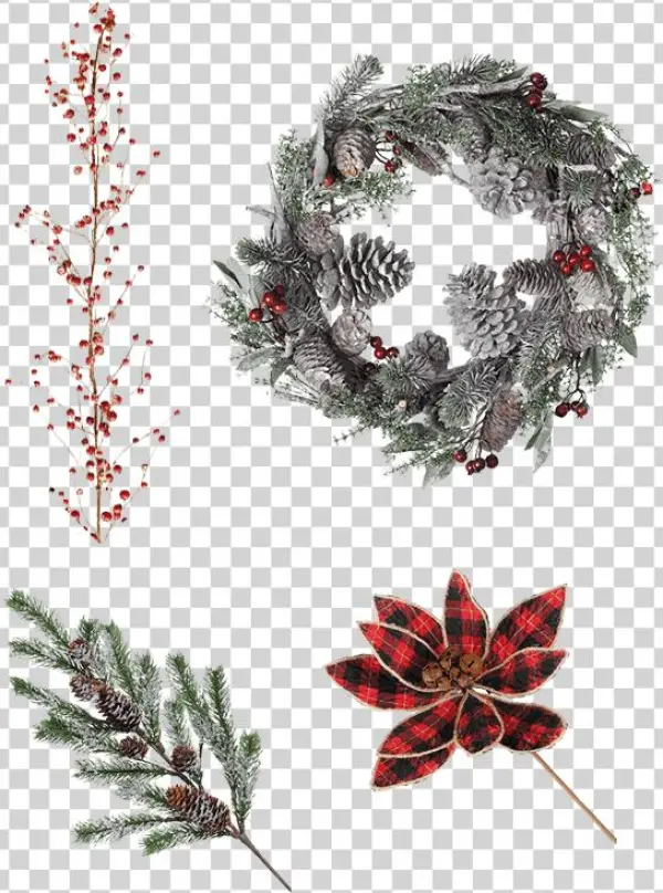 Floral - Illustration