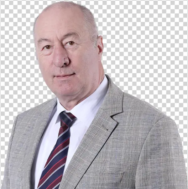 Harald Ziegler Vermögensberater In Steinheim - Businessperson