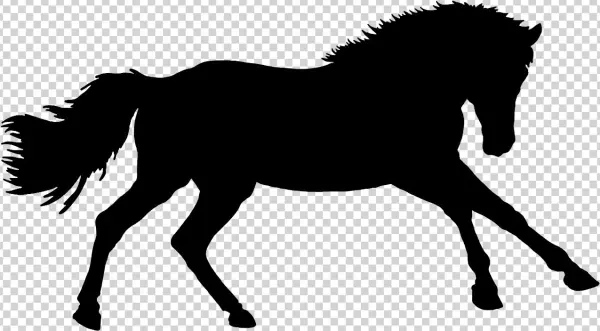 Pferd Silhouette - Mane