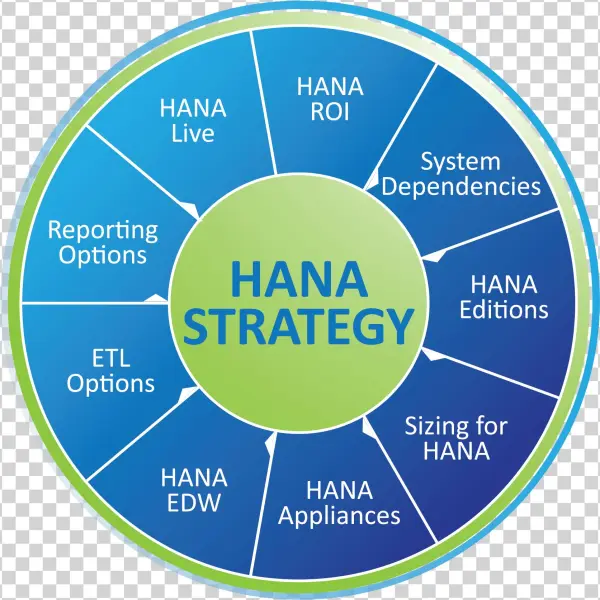 Sap Hana Offerings - Circle