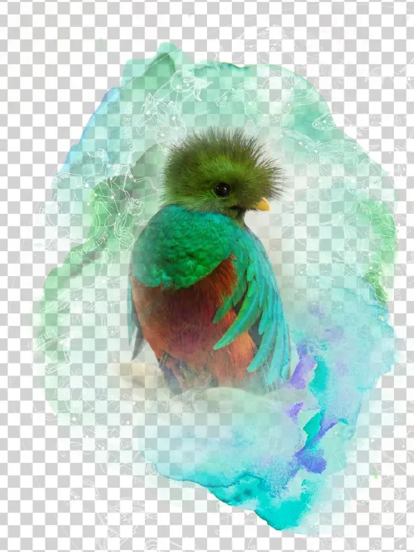 Step Into Your Essence - Roller