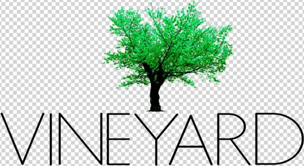 Vineyard Logo