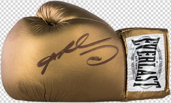 Zoom - Everlast