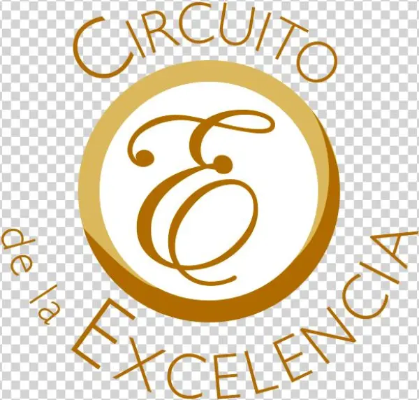 Algunos De Nuestros Aliados Estratégicos - Circle