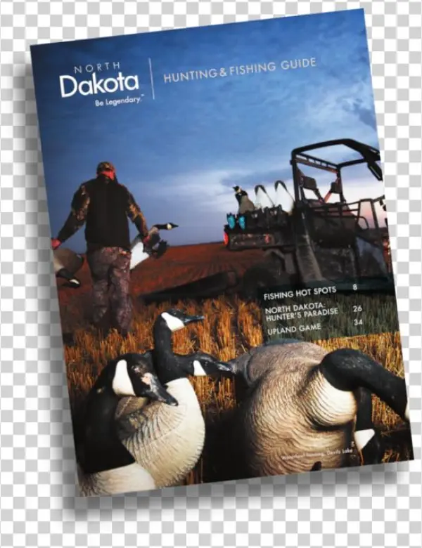 Guide - Flyer