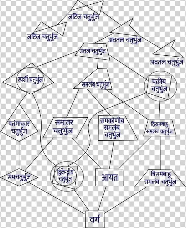 Quadrilateral Hierarchy Hi Png - Diagram