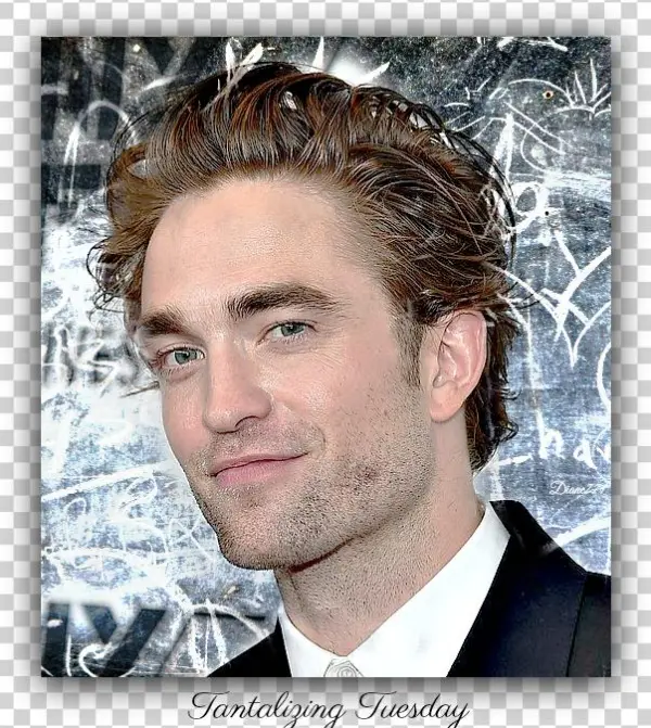 Source - Diane771 - Gentleman