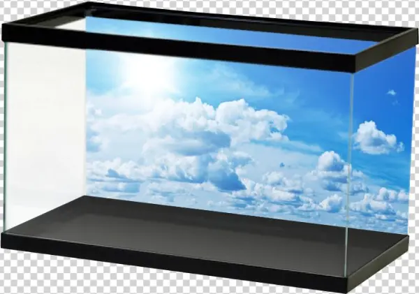 Specialty Clouds