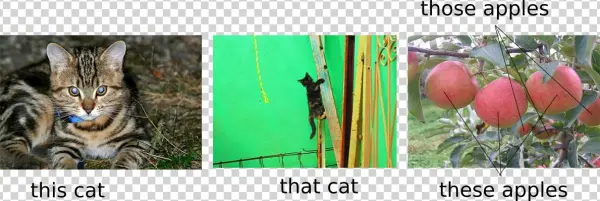This Cat - Starapple