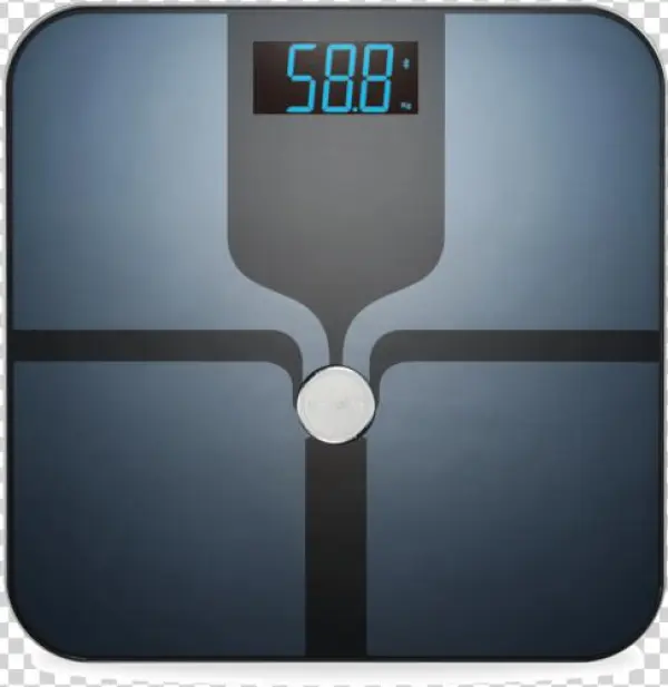 Weight - - Electronics