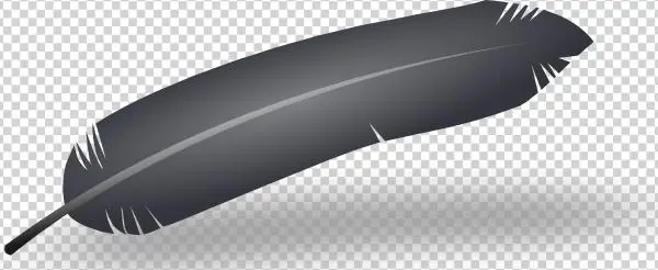 Black Feather Png Images