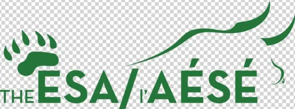 Cropped Cropped Esa Bb Logo 2
