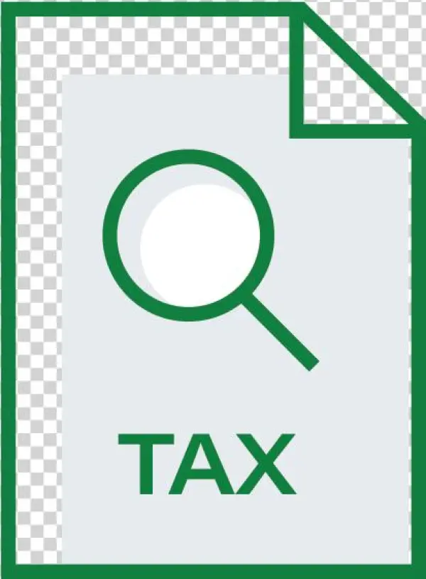 Diy Tax Review