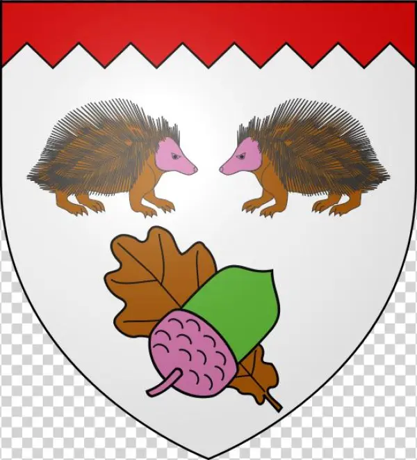 Drawn Hedgehog French - Cartoon