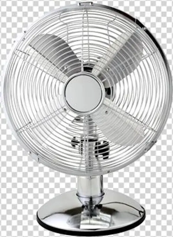 Fan