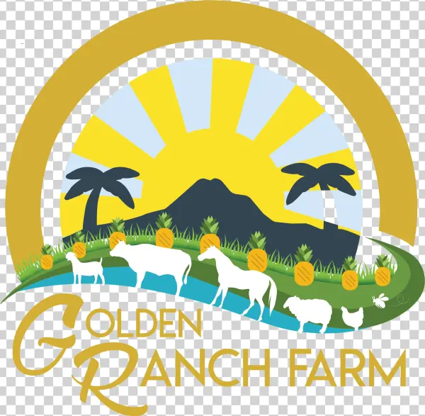 Golden Ranch Farm