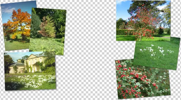 Howick Hall Gardens - Yard