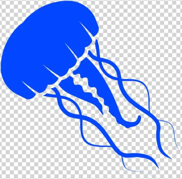 Jellyfish - Portable Network Graphics