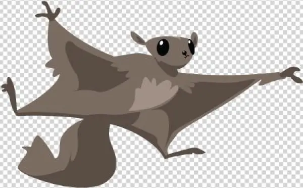 Kidsfest-flyingsquirrel - Portable Network Graphics