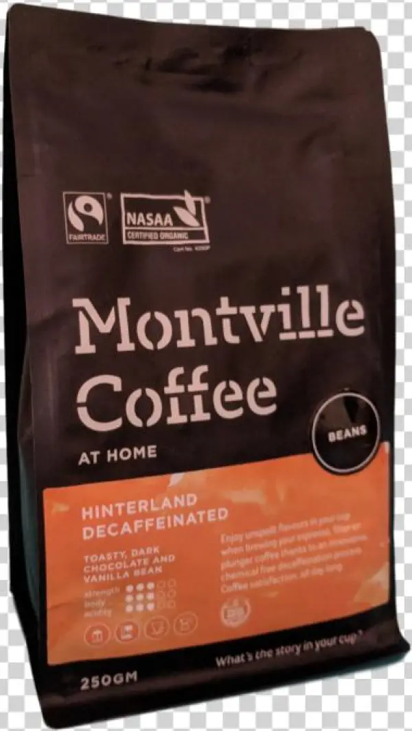 Montville - Kitten