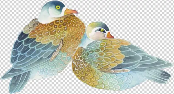 鸳鸯