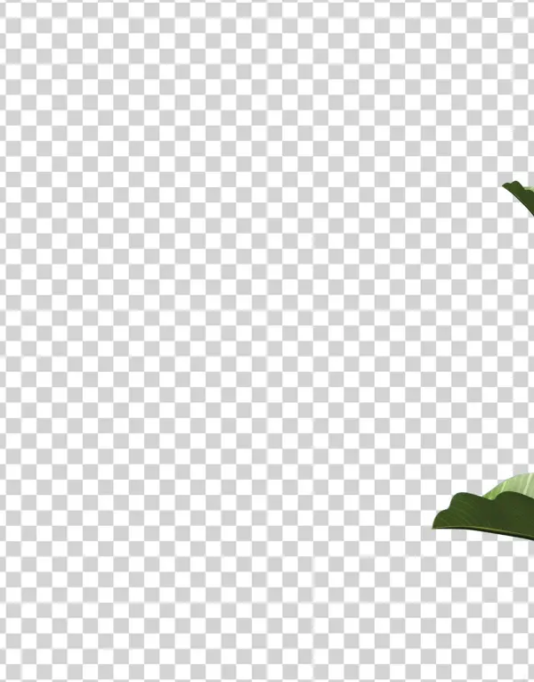 Shrek's Faire Faire Away - Illustration