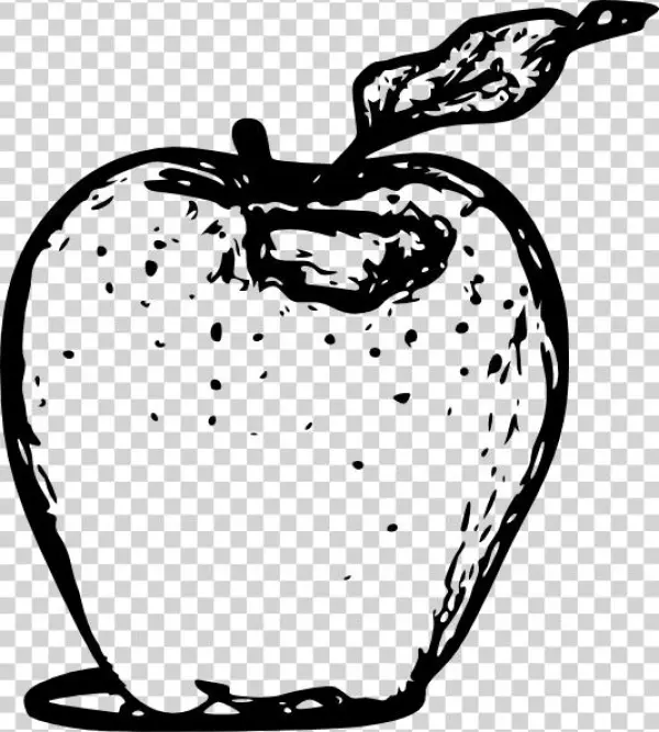 Apple Line Art Svg Clip Arts 534 X 594 Px