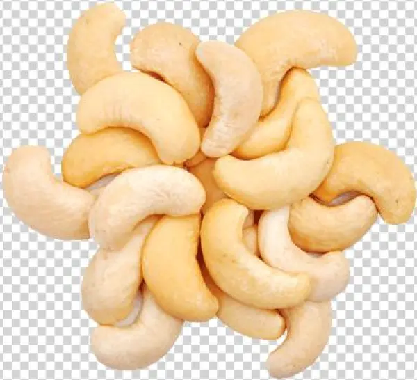 Cashew Transparent