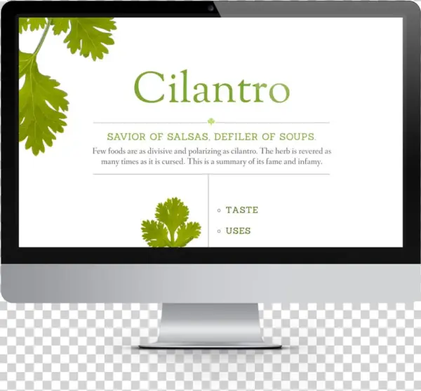 Cilantro Desktop