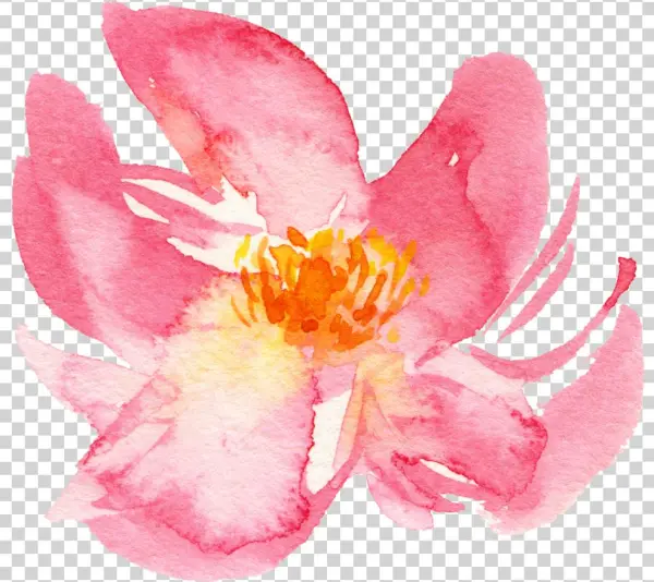 Flower Naana
