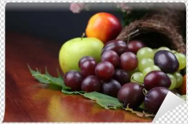 Fruit