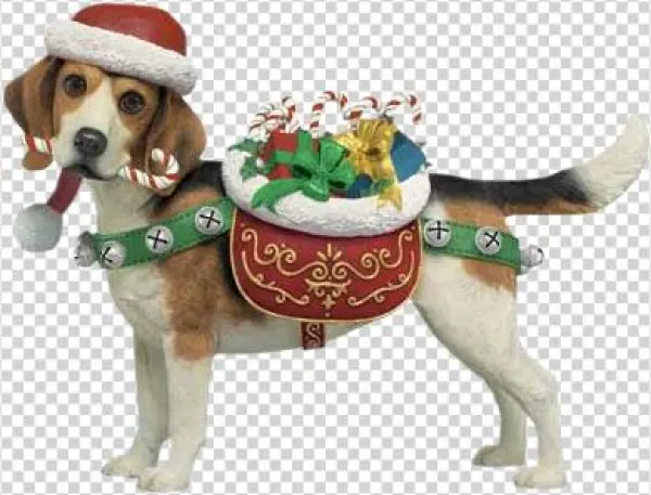 Karat6959 - Dog