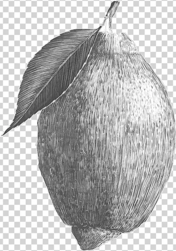 Lemon - Starfruit